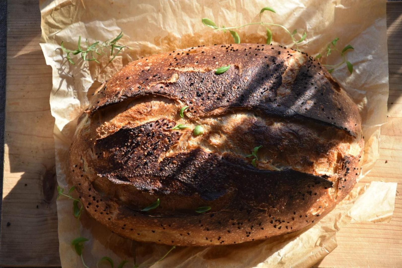 فيلا Siedlisko Nad Lakami المظهر الخارجي الصورة
